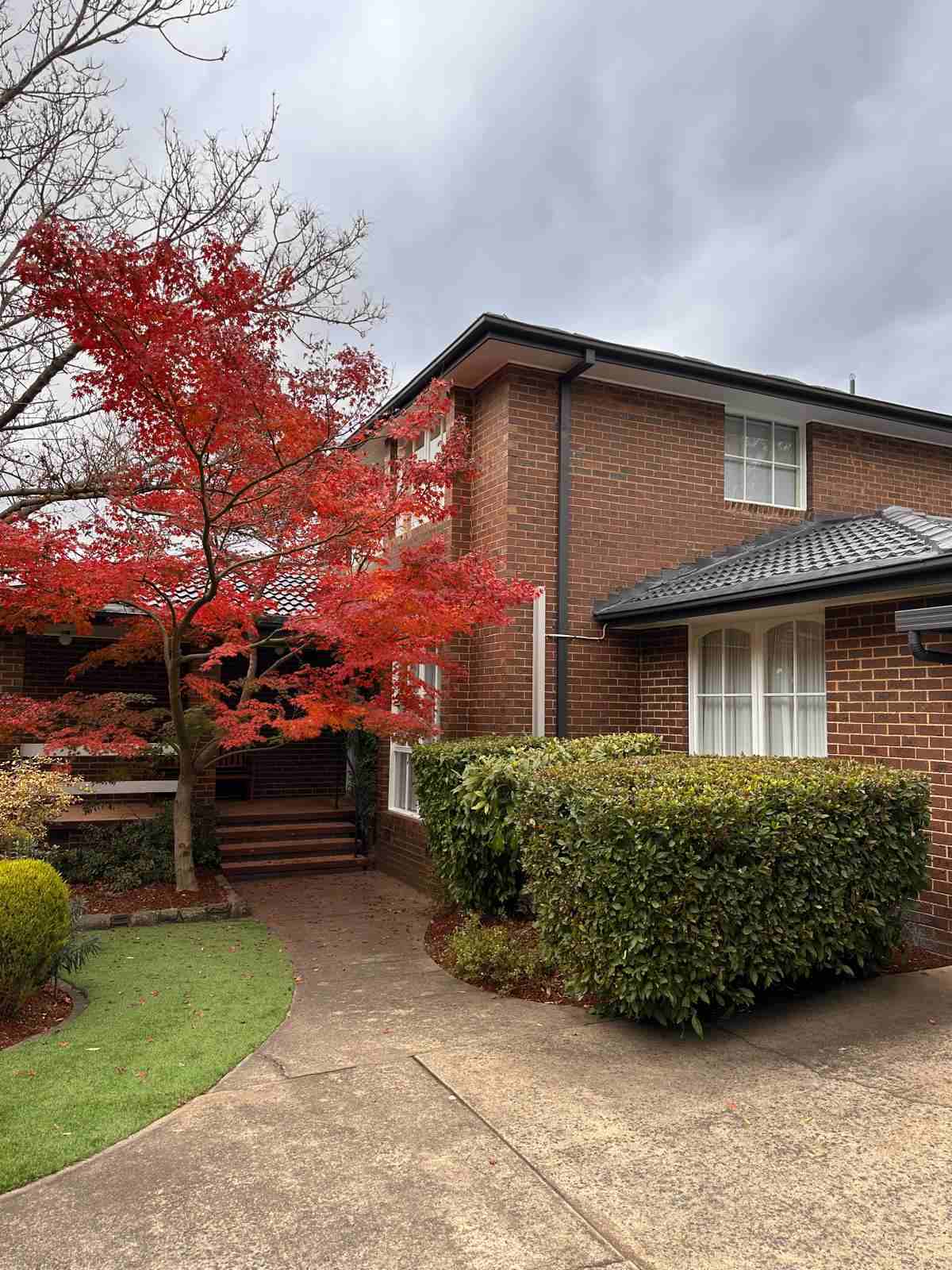 Beautiful autumn tree in front of a house with freshly painted roof in Weetangera