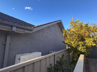freshly painted grey brick wall with orange tree in Red Hill Canberra